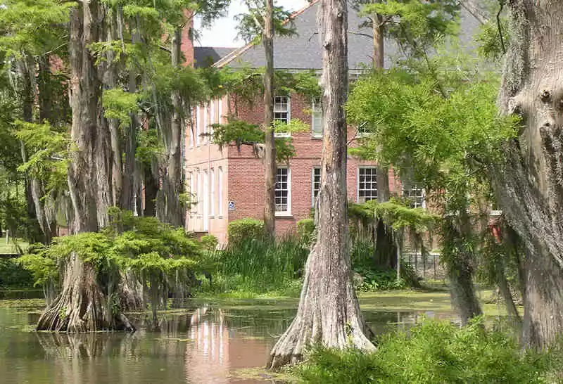 Lafayette - Johnston Street